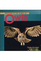 Welcome to the World of Owls