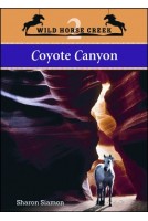Coyote Canyon