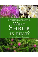 What Shrub is That?