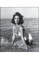 Suedelux Journal - Elizabeth Taylor