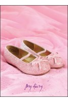 Lock-Up Diary - Pink Slippers