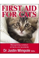 First Aid for Cats