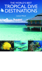The World's Best Tropical Dive Destinations