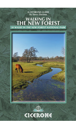 Walking in the New Forest