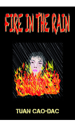 Fire in the Rain